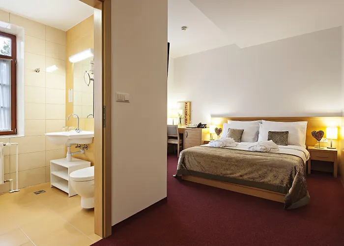 Hotel Izvir - Sava & 4*