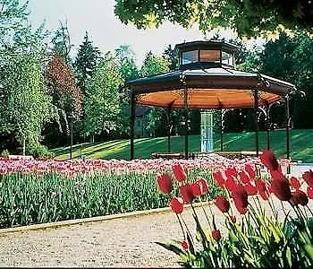 Hotel Izvir - Sava & 4*